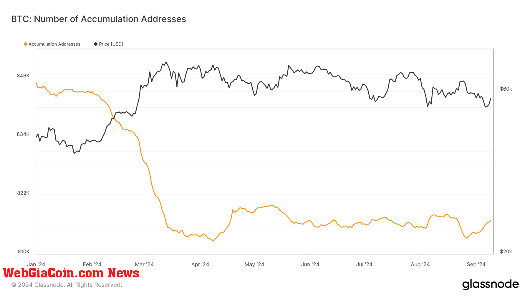 Sự tích lũy Bitcoin giải quyết xu hướng giảm mạnh vào năm 2024