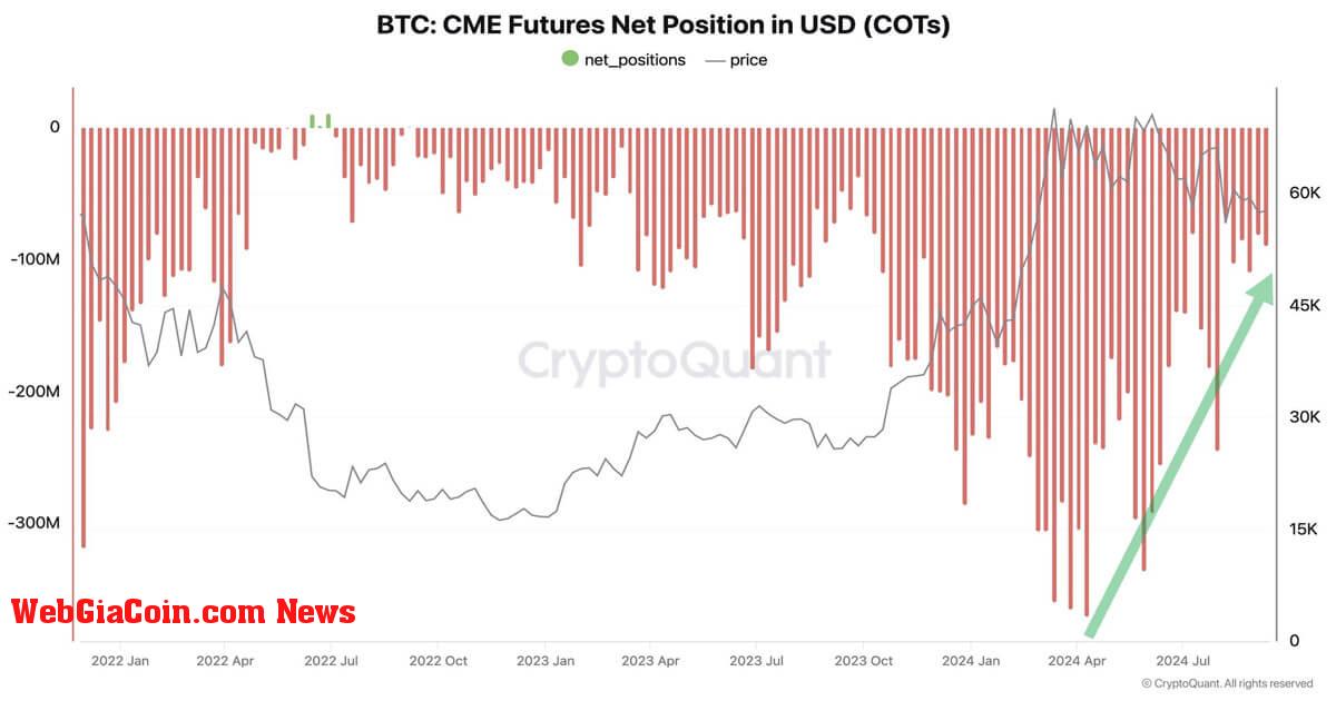 CME futures net position change (CryptoQuant)