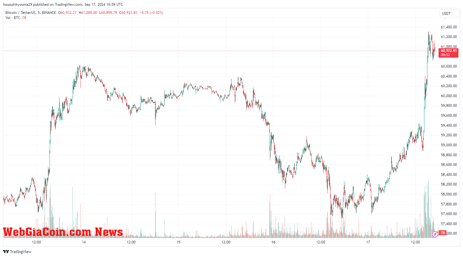 Bitcoin Price Chart