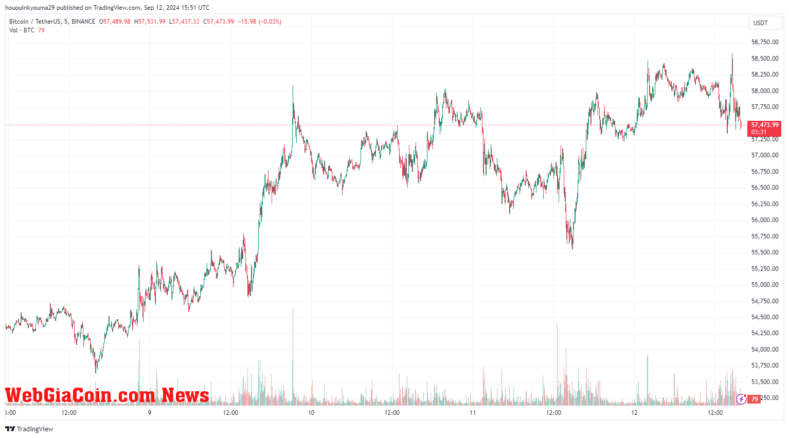 Bitcoin Price Chart