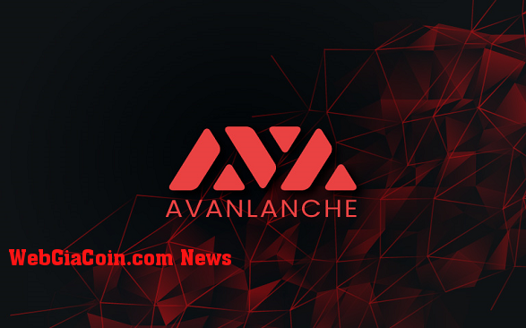 Cách mua, bán và giao dịch Token trên Avalanche Network