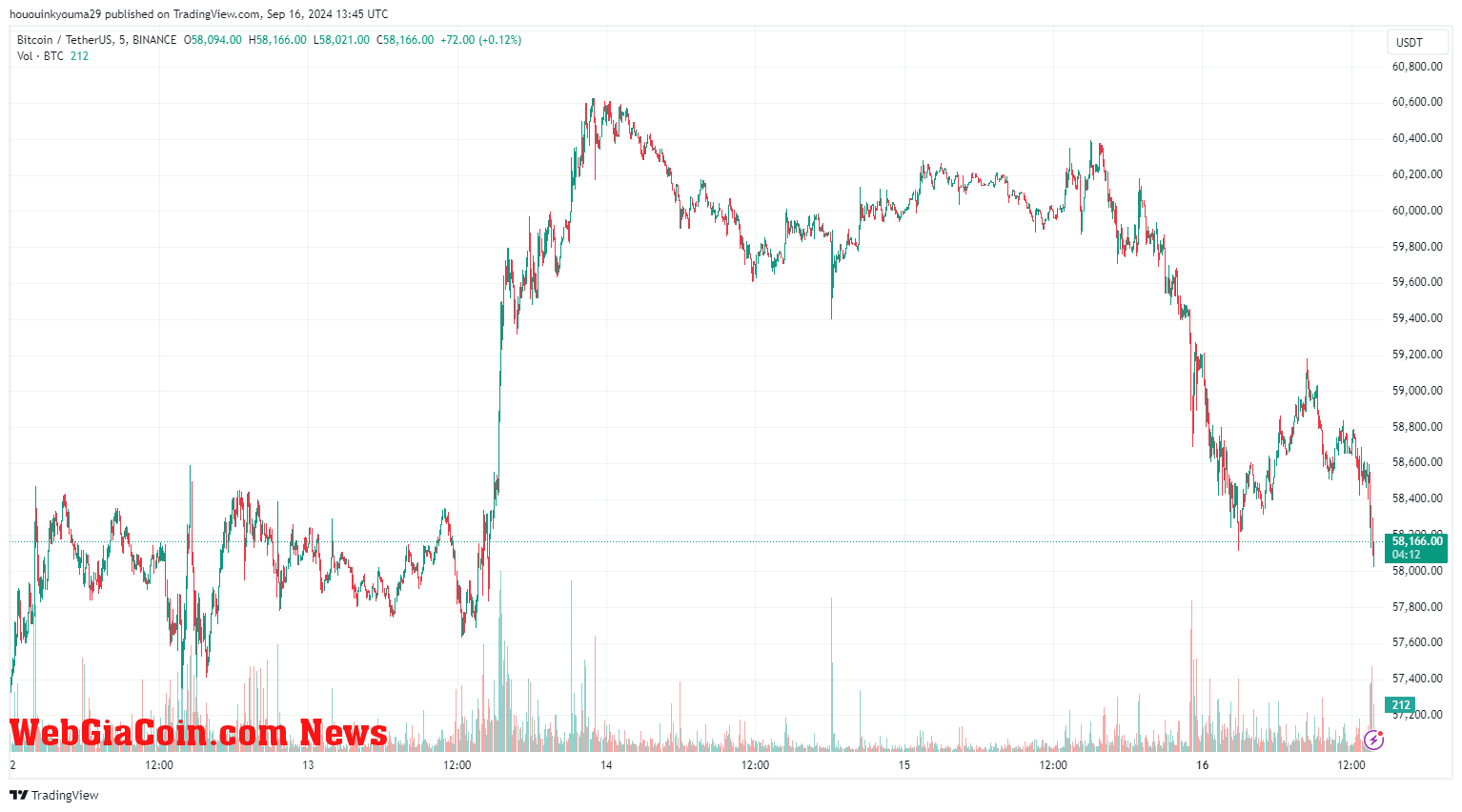 Bitcoin Price Chart