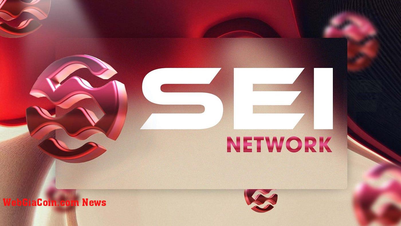 SEI Network