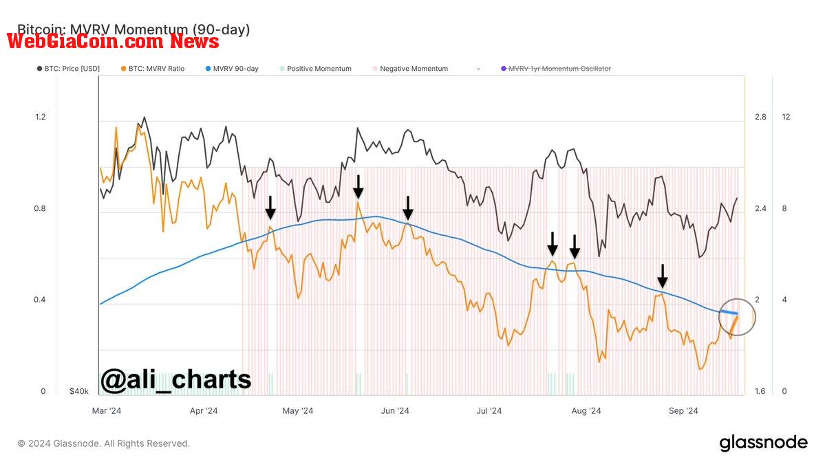 Bitcoin MVRV Momentum suggests a potential return to bullish territory. 