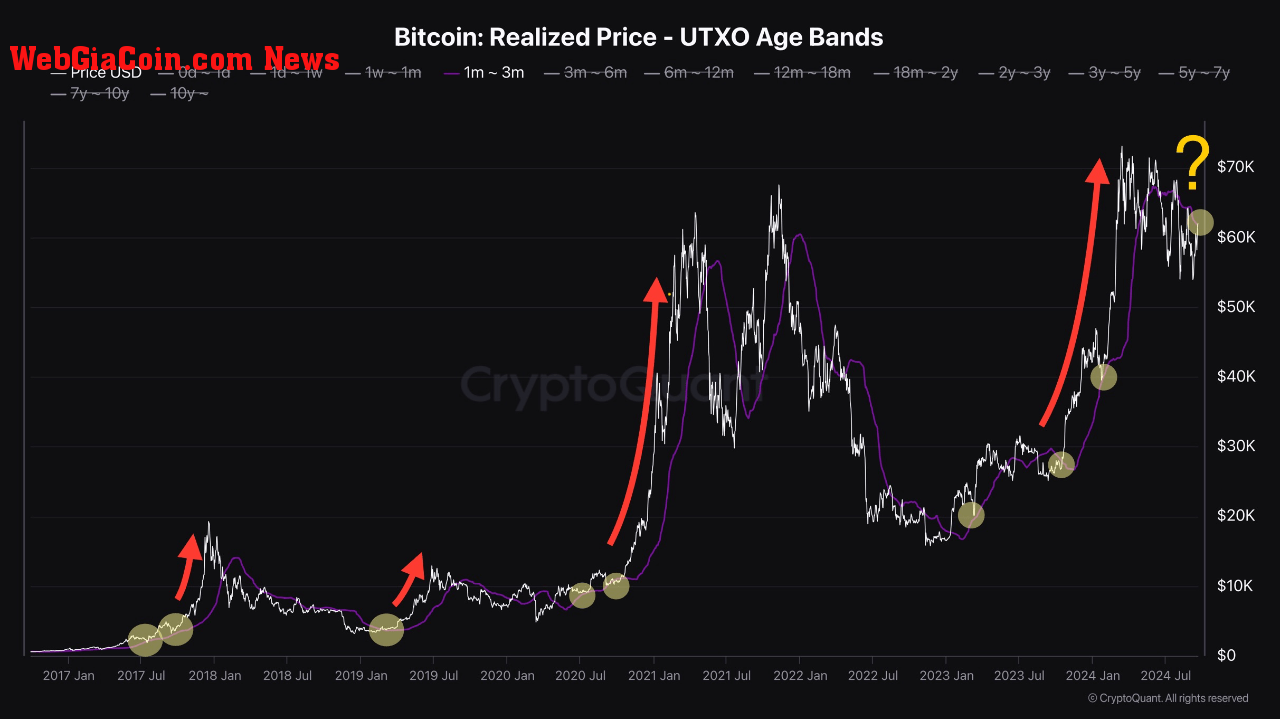 Bitcoin realized price metric.