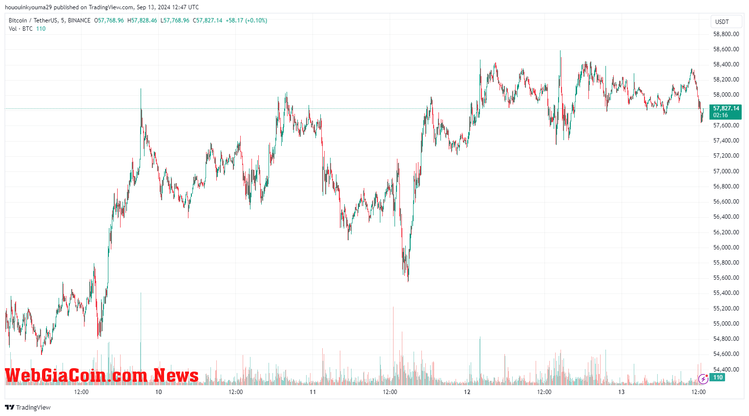 Bitcoin Price Chart