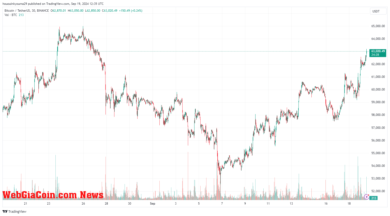 Bitcoin Price Chart