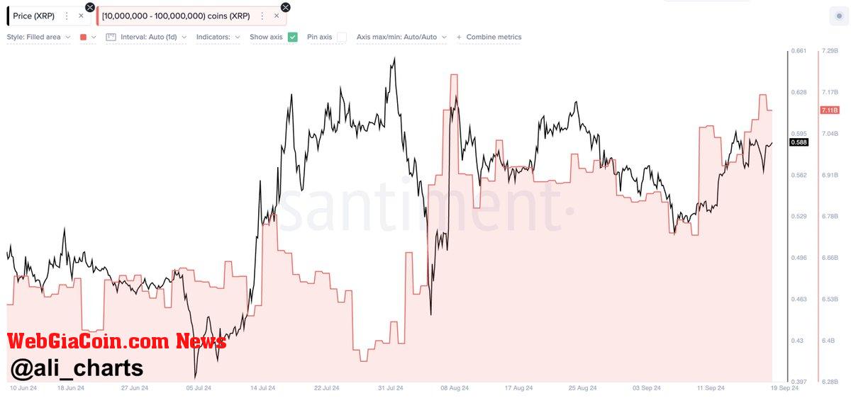 Ripple whales bought over 380 million XRP in the past 10 days. 