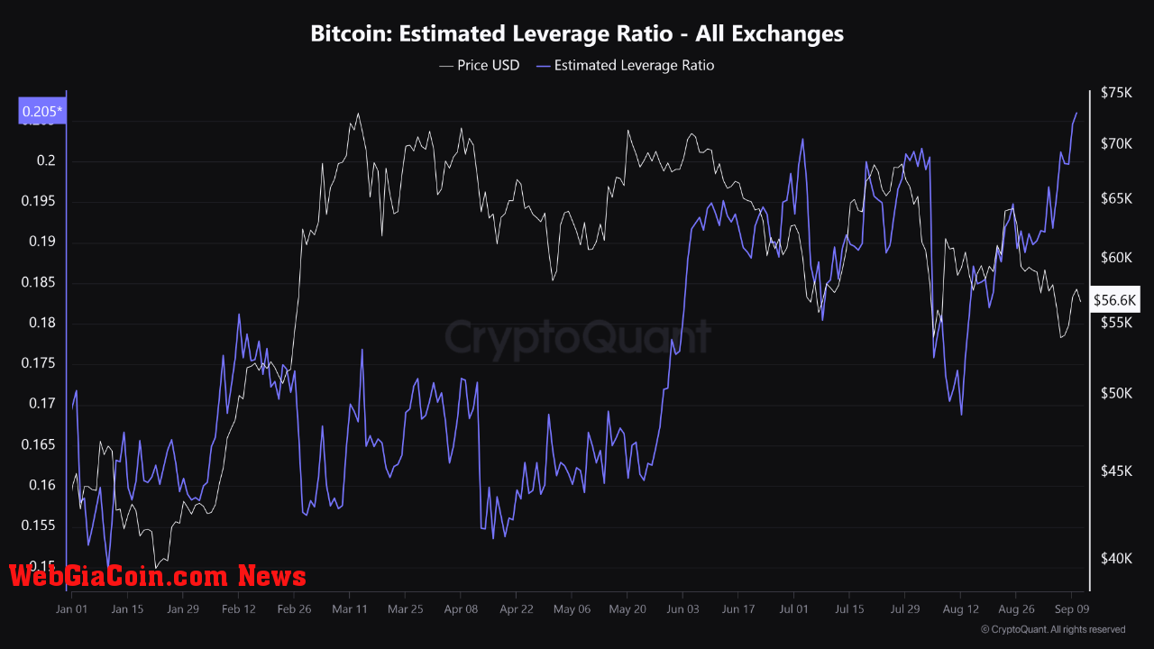 Bitcoin Estimated Leverage Ratio. 