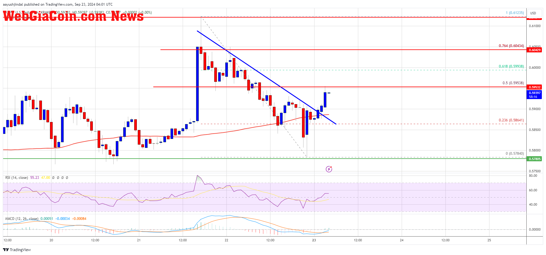 XRP Price