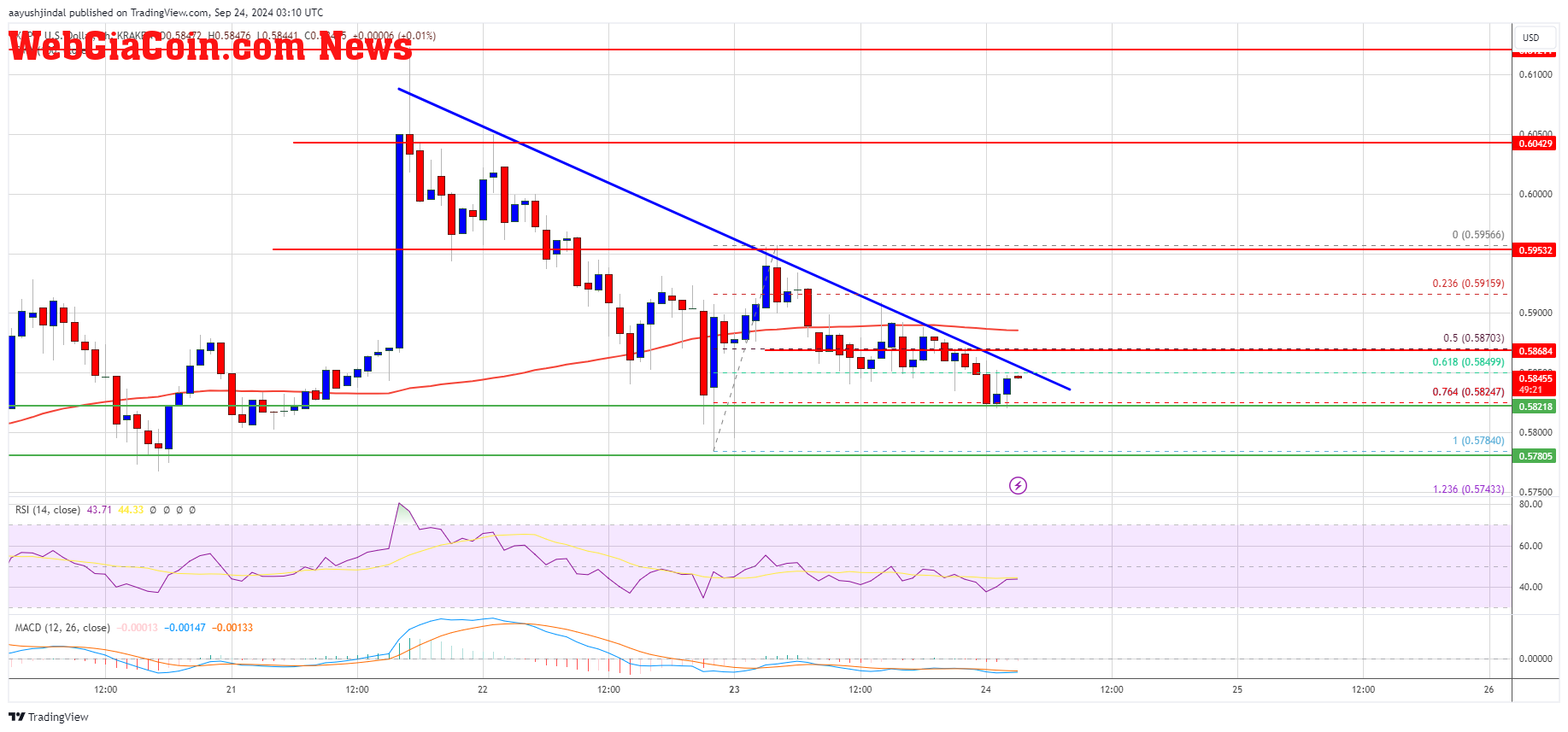 XRP Price