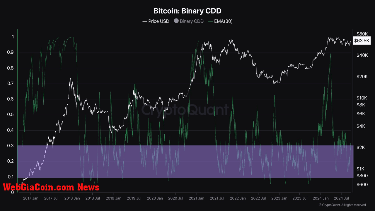 Bitcoin Binary CDD.