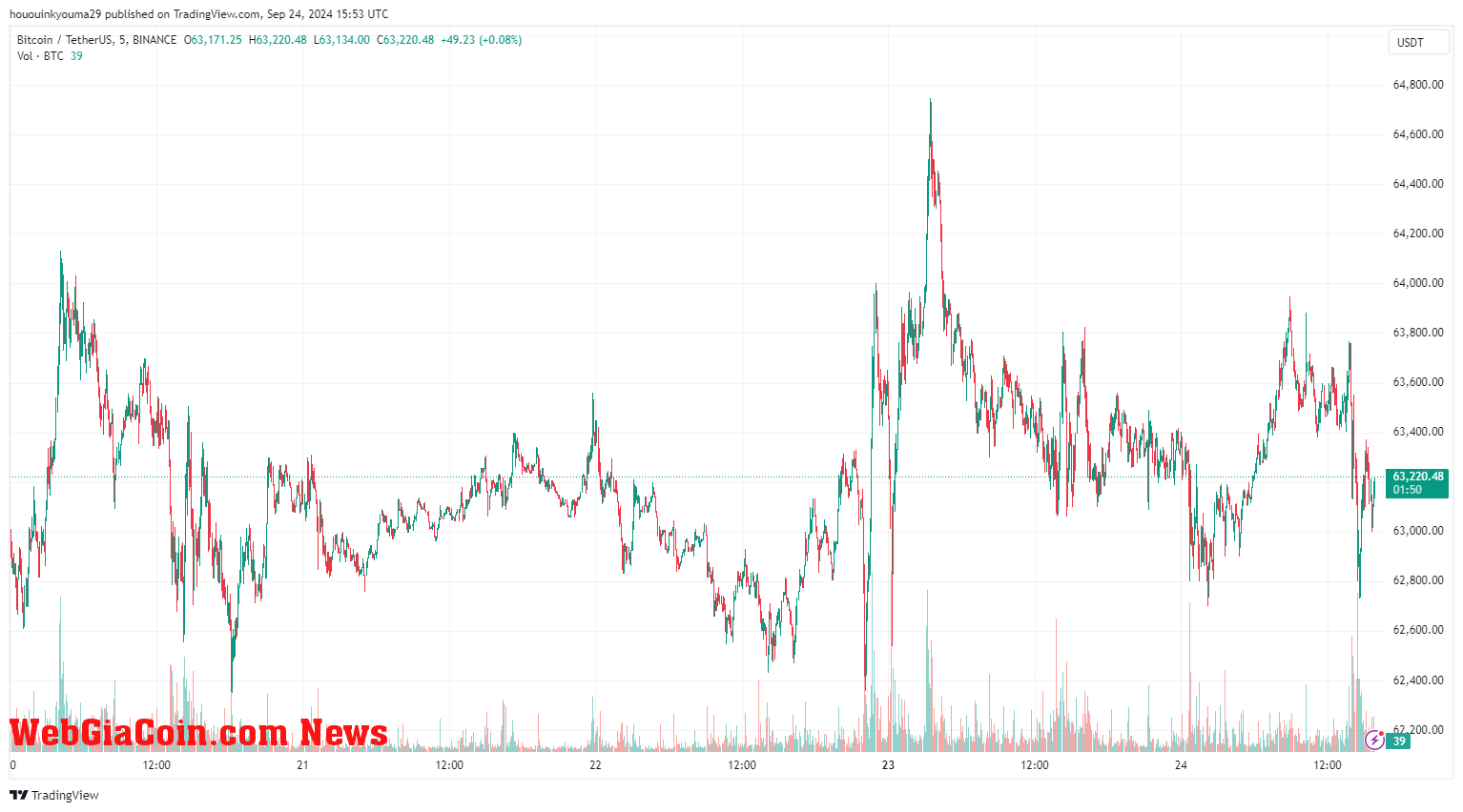 Bitcoin Price Chart