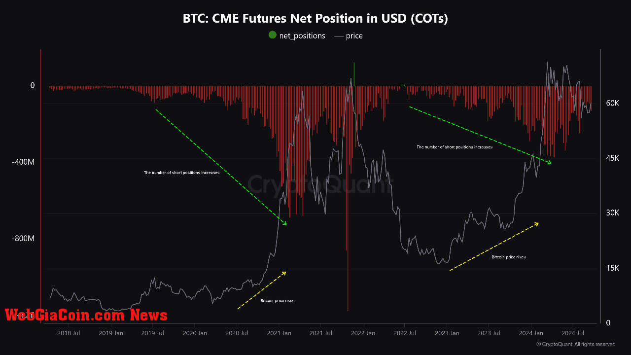 Bitcoin CME futures net position.