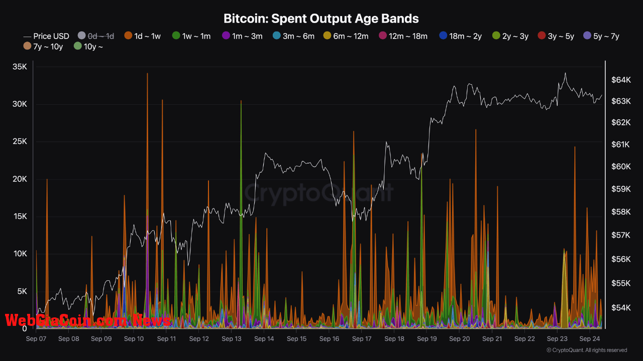 Bitcoin spent output age bands.