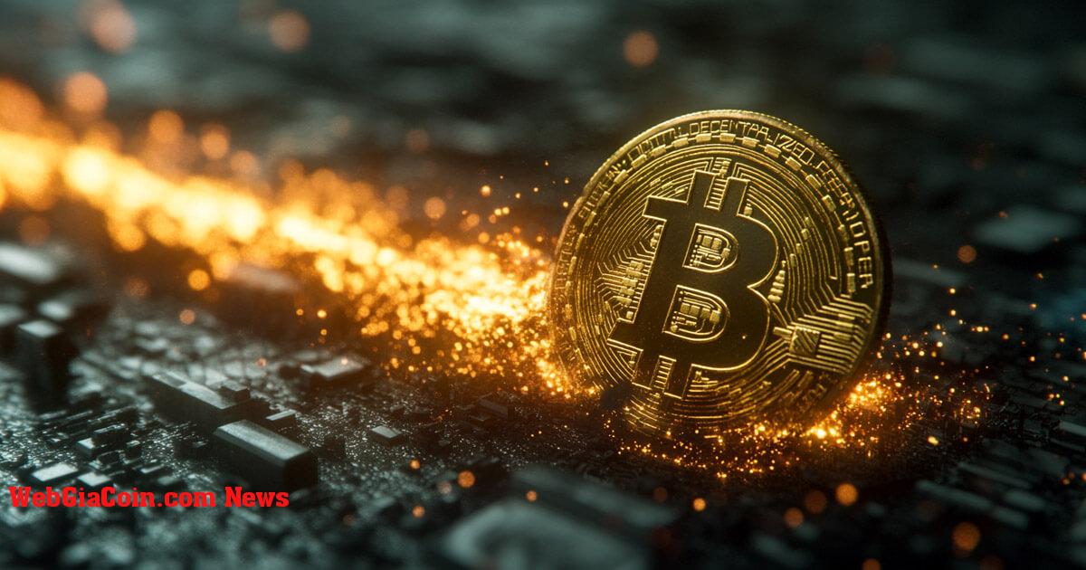 Người đứng đầu bộ phận tài sản kỹ thuật số của BlackRock cho biết Bitcoin có rủi ro, nhưng vẫn là tài sản 