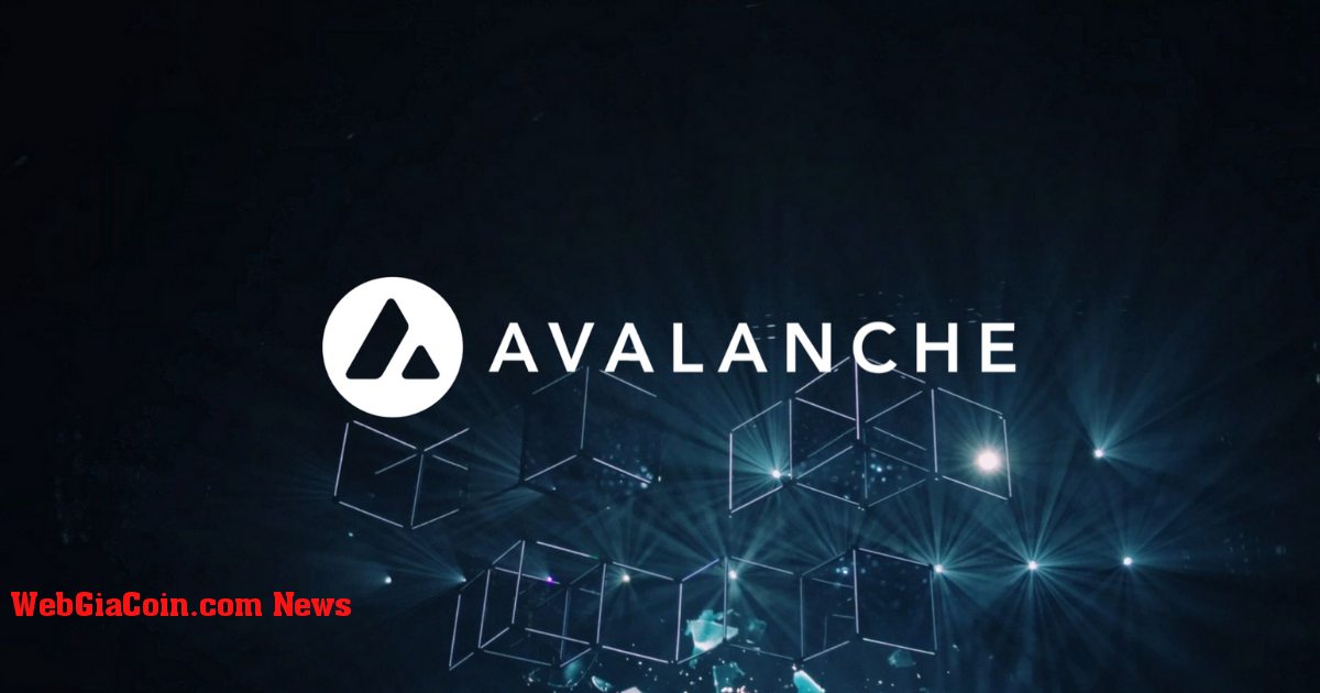 Avalanche (AVAX) biến động 25% do các sáng kiến mới hỗ trợ các nhà phát triển