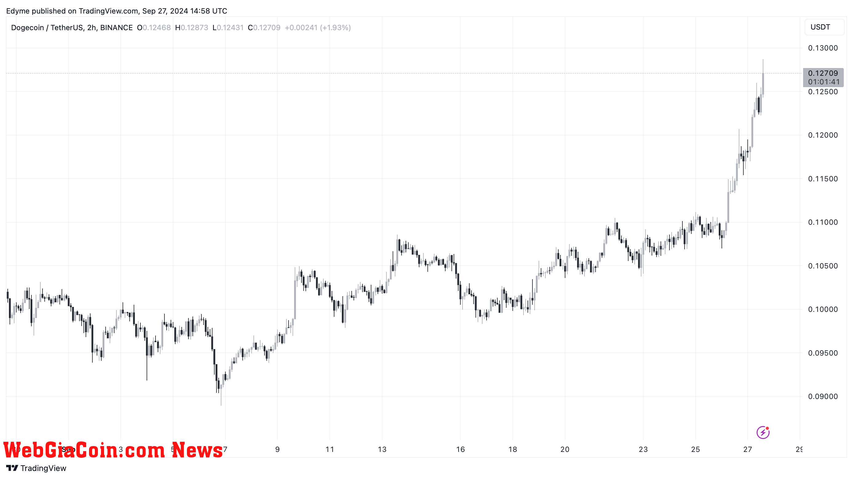 Dogecoin (DOGE) price chart on TradingView