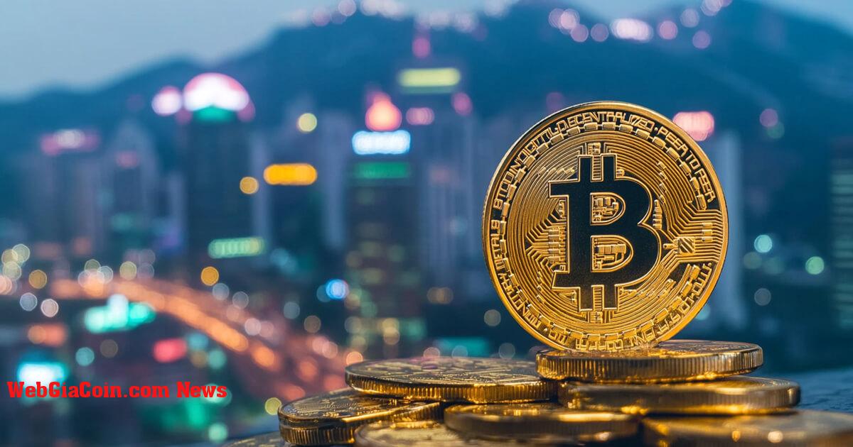 Biến động giá Bitcoin thu hút sự quan tâm của những người 