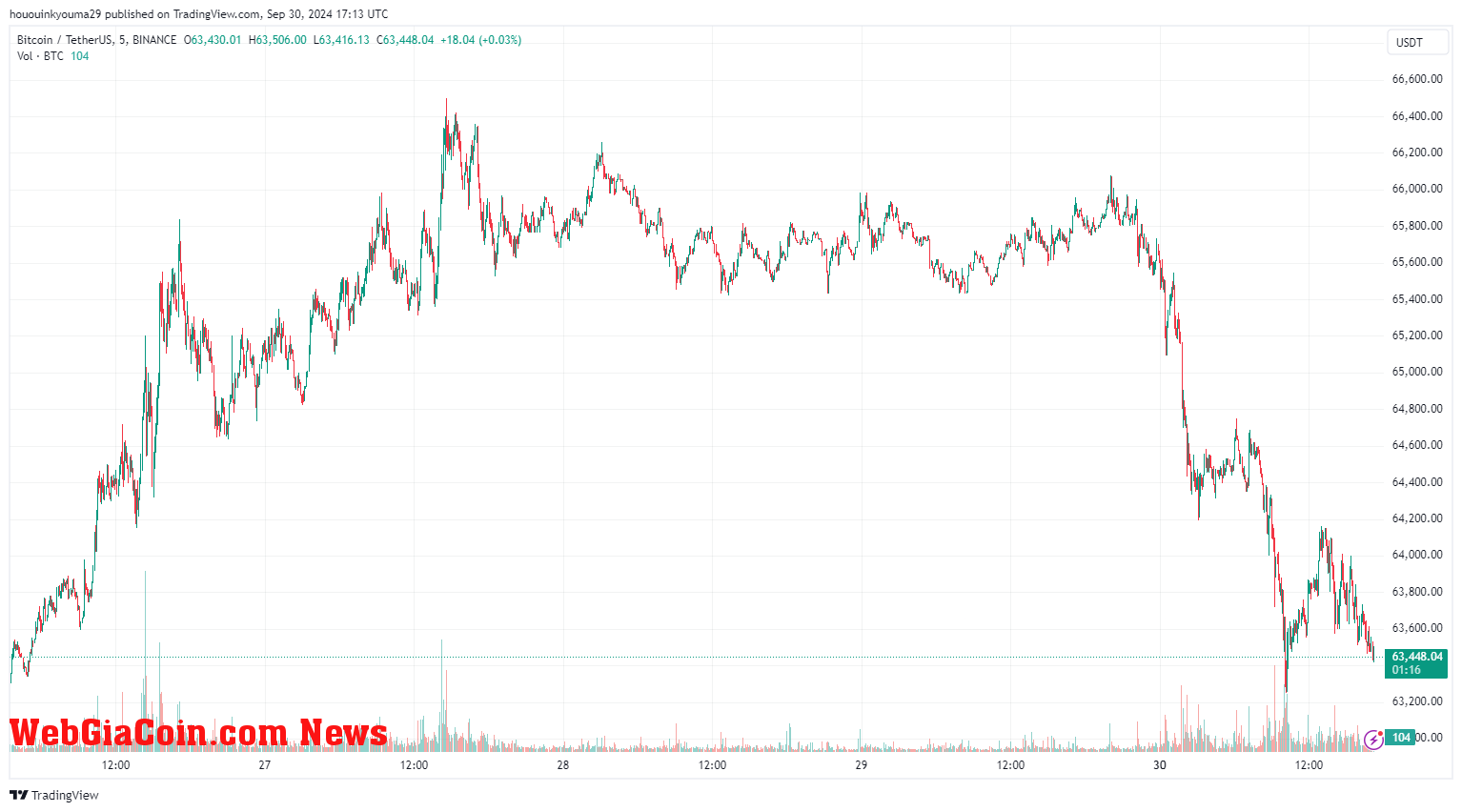 Bitcoin Price Chart