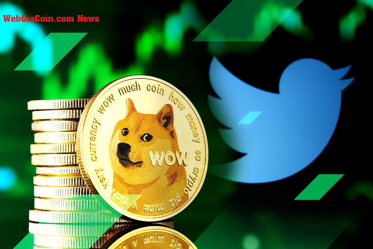 Dogecoin tăng vọt 20%, đồng sáng lập nói rằng ông không biết tại sao