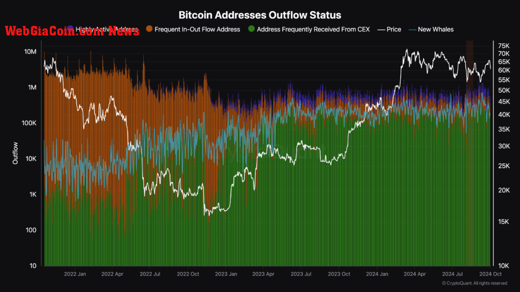 Bitcoin address outflow status 2021 onward (CryptoQuant)