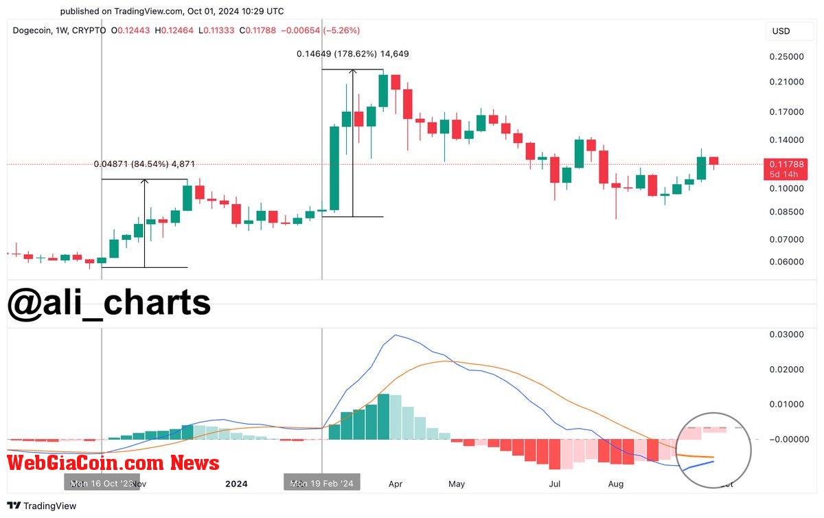 DOGE MACD bullish crossover 