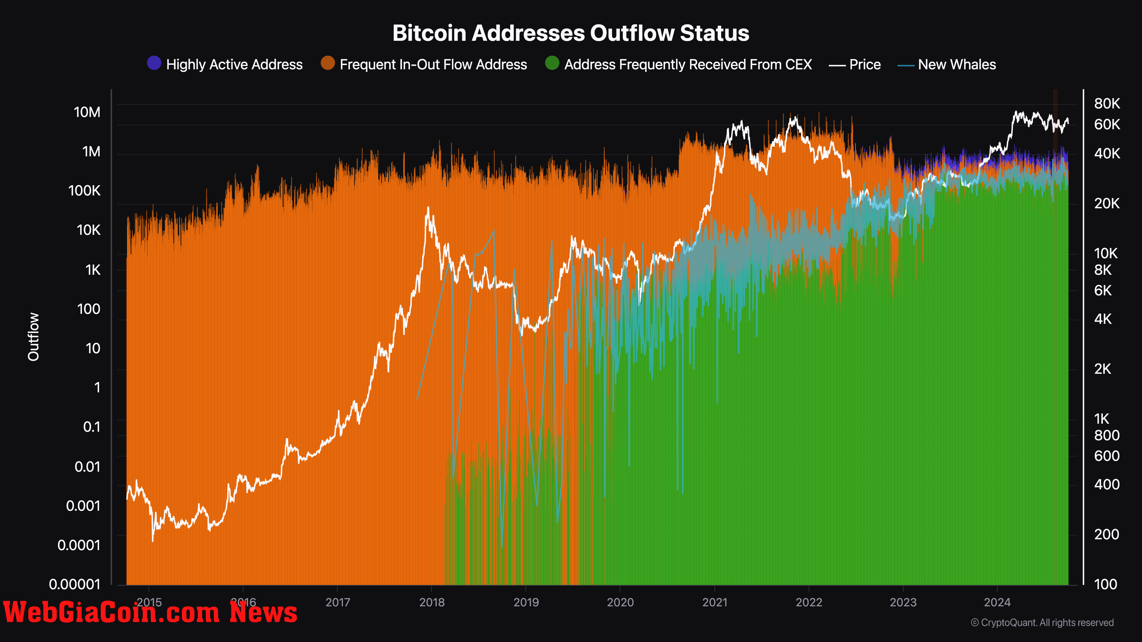 Mười năm dữ liệu địa chỉ Bitcoin tiết lộ hành vi của nhà đầu tư và sự thay đổi của thị trường