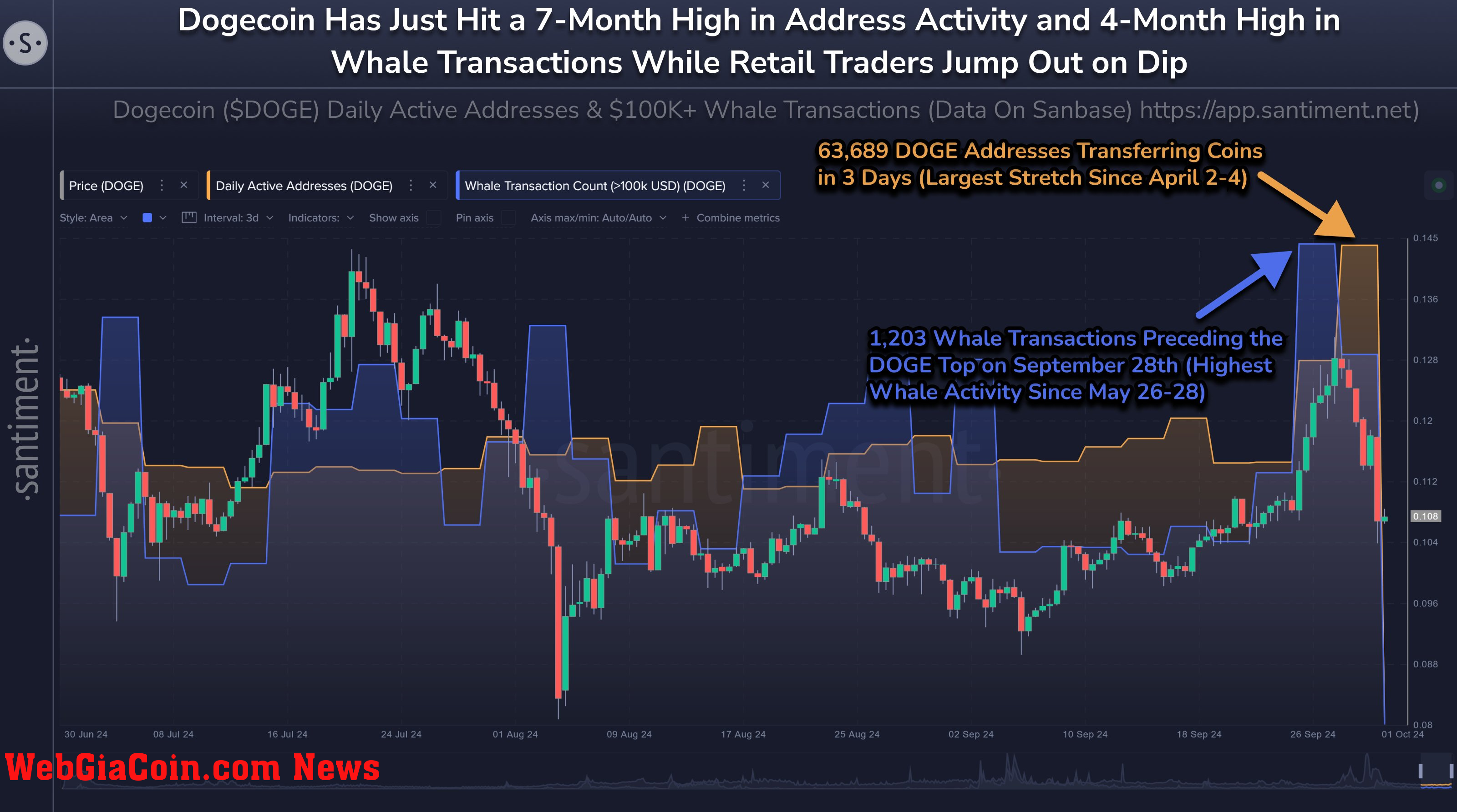 Dogecoin whale activity