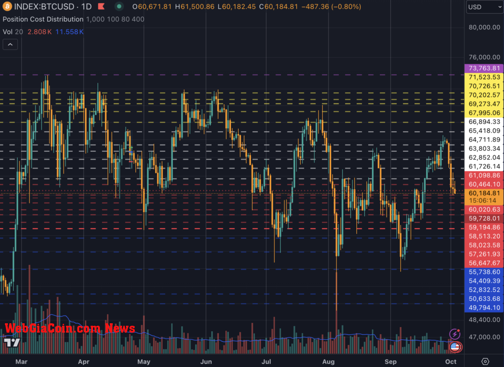 Bitcoin channels 2024 (TradingView)