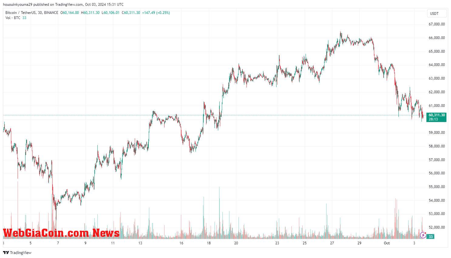 Bitcoin Price Chart