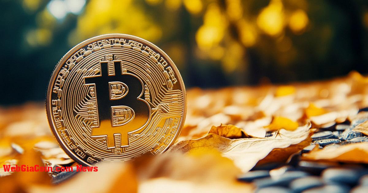 VanEck lạc quan về đà tăng trưởng của Bitcoin trong quý 4 nhưng cảnh giác với những khó khăn của Ethereum