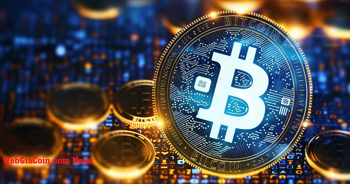 Yêu cầu về quyền riêng tư: Đạt được sự thanh toán cuối cùng thực sự bằng Bitcoin