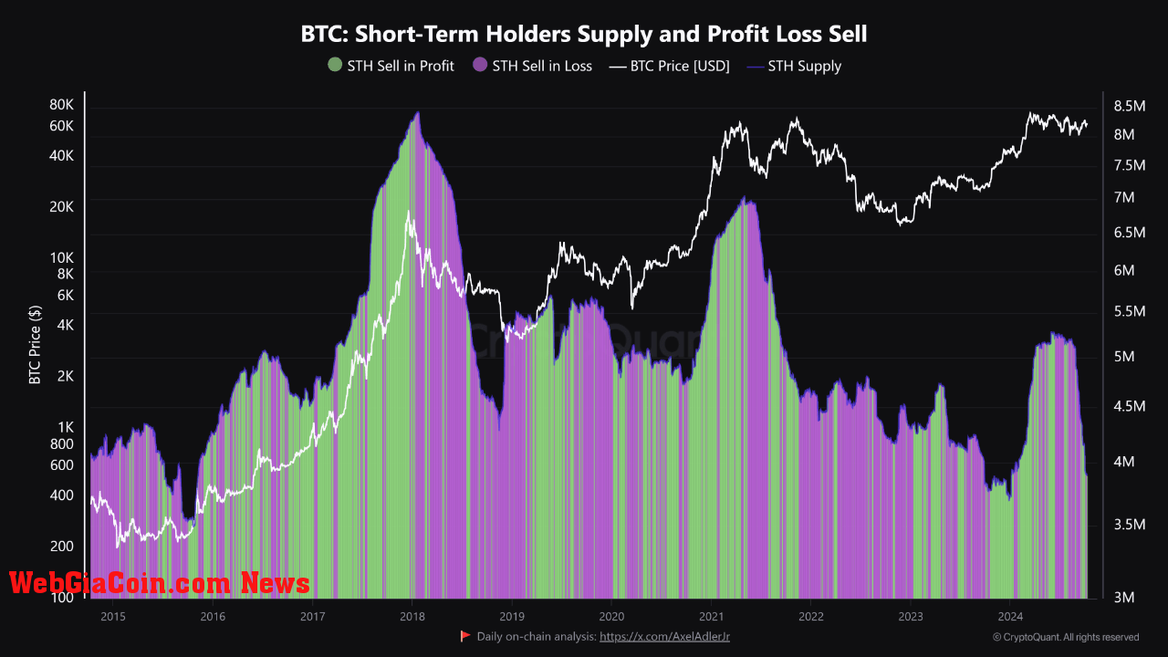 Bitcoin short term holders chart. 