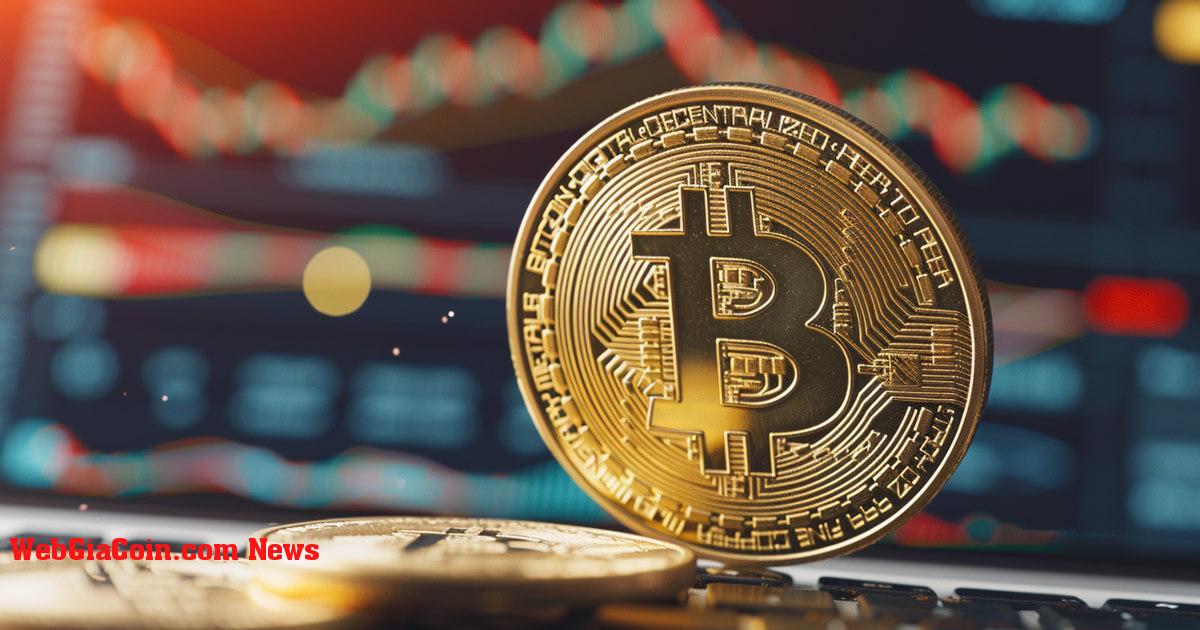 Những chú cá voi Bitcoin mới đầu tư hơn 100 tỷ đô la, báo hiệu sự chuyển đổi của thị trường