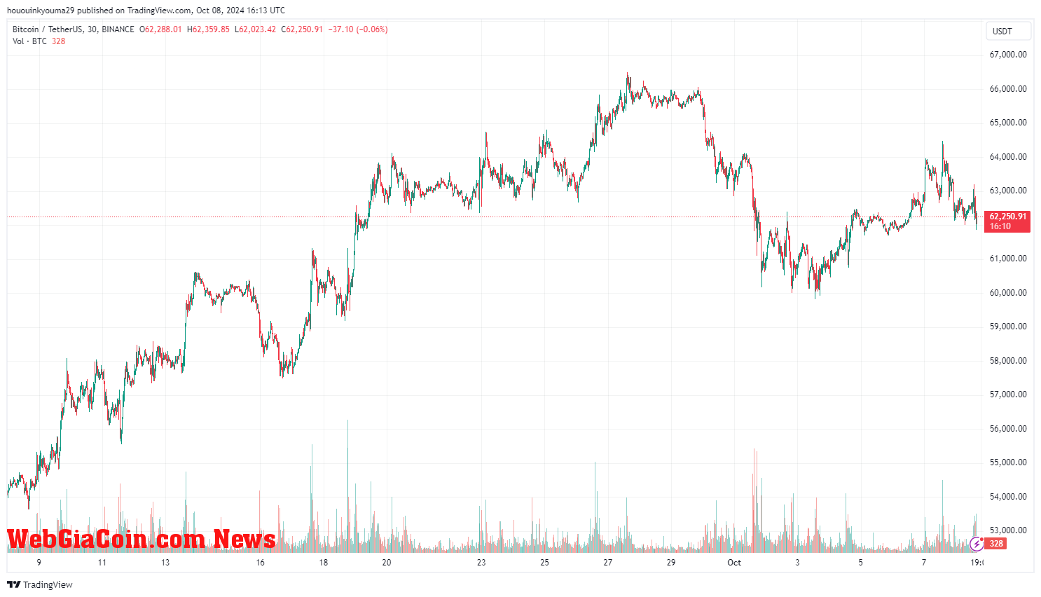 Bitcoin Price Chart