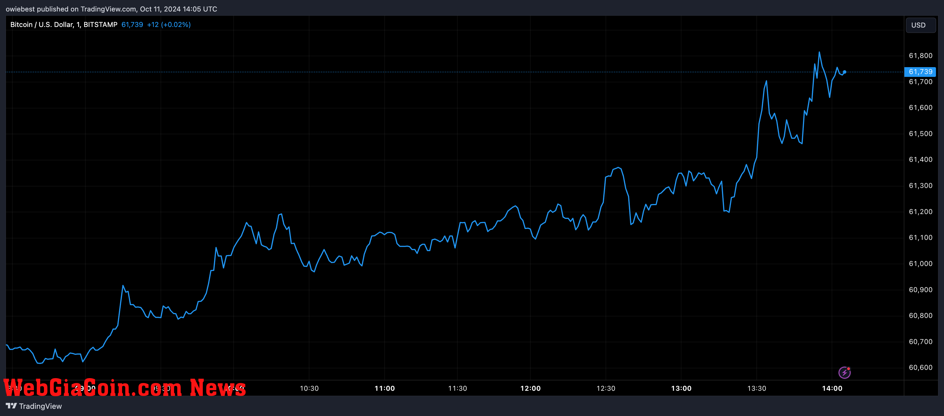 Bitcoin price chart from Tradingview.com