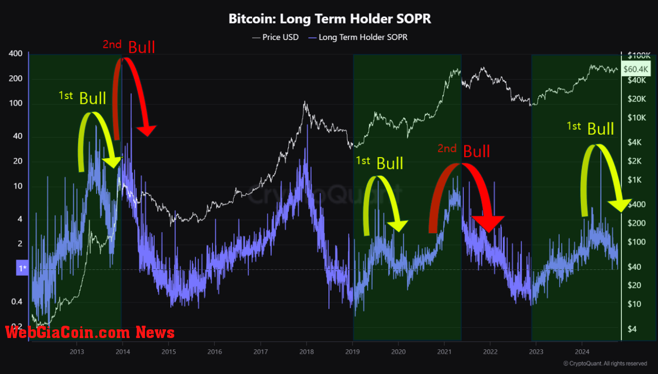 Bitcoin long term holders metric