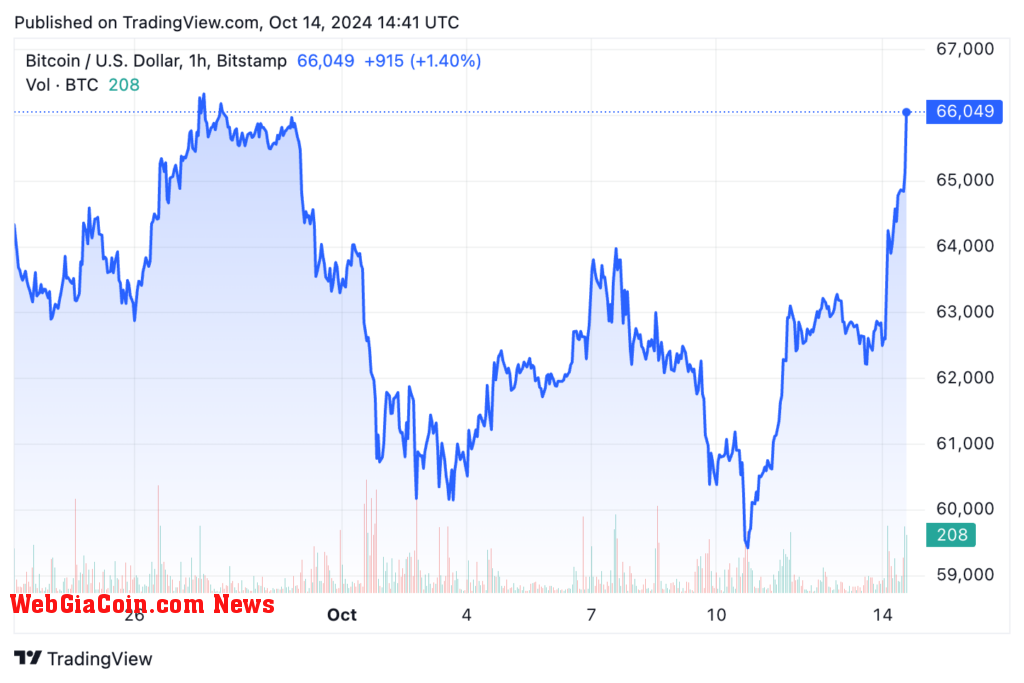 Bitcoin price chart