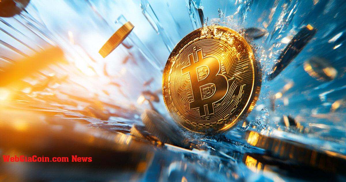 Bitcoin chạm mốc 66.000 đô la khi cuộc bầu cử Hoa Kỳ hiện được coi là sự kiện tăng giá