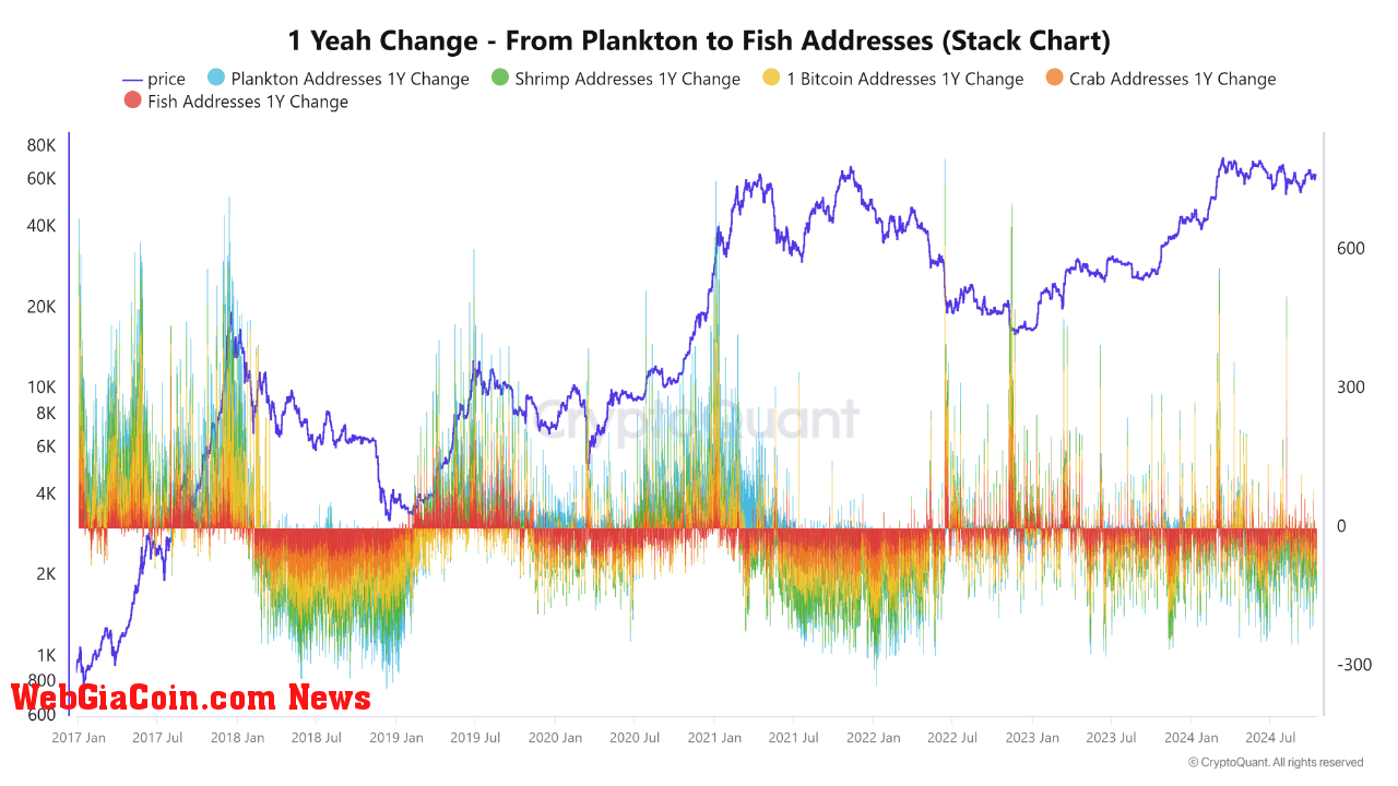 Bitcoin plankton to fish addresses 1-year change chart. 