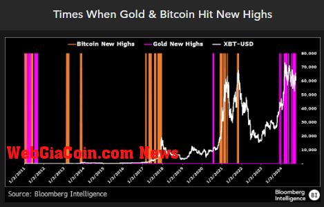 Bitcoin and Gold highs (Source: Bloomberg)