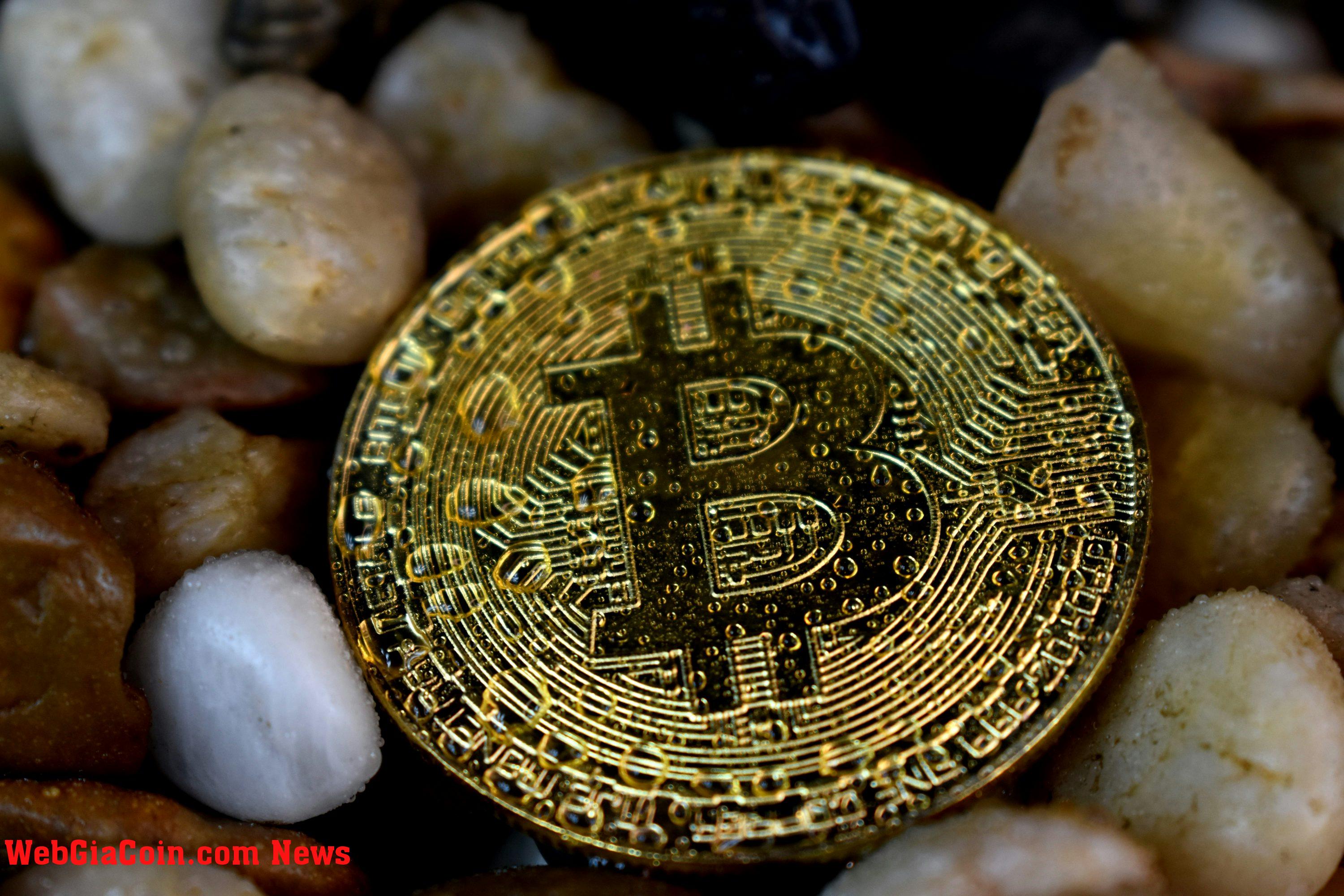 Bitcoin vượt ngưỡng 65.000 đô la: liệu người mua có thể đẩy BTC lên mức cao lịch sử không?