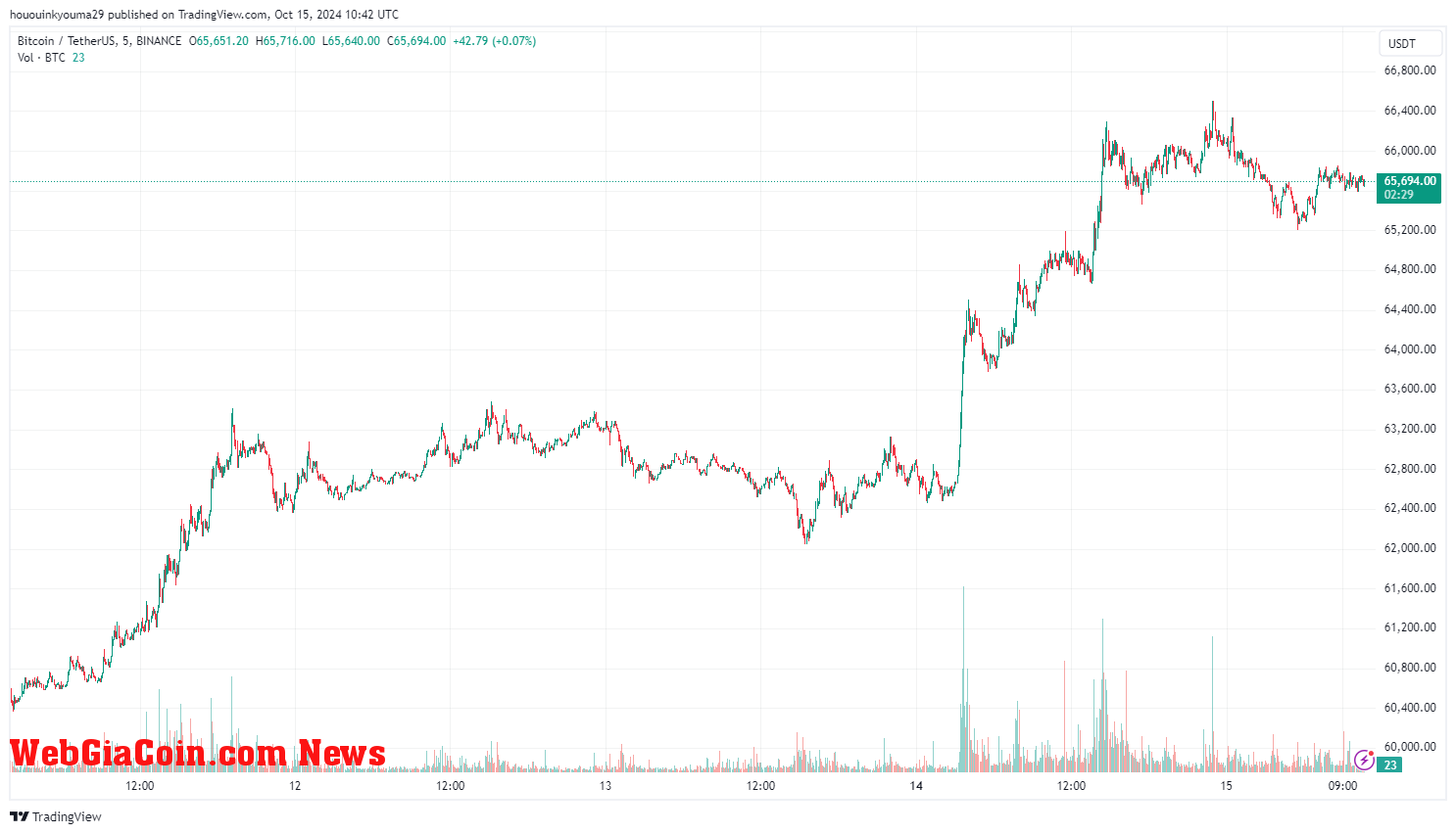 Bitcoin Price Chart