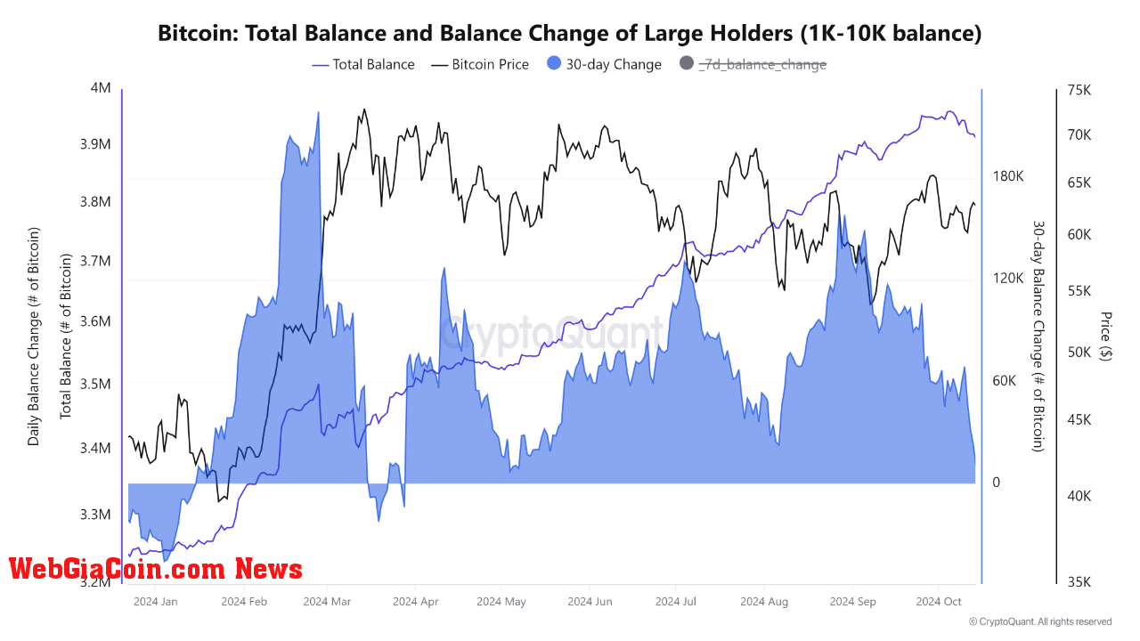 Bitcoin balance change of large holders.