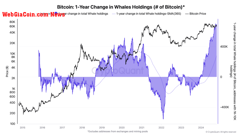 Bitcoin 1-year change in whale holdings | Source: CryptoQuant