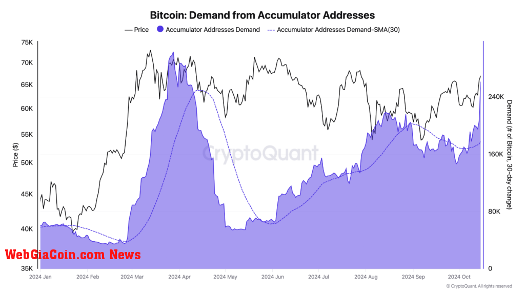 Bitcoin demand from accumulator addresses | Source: CryptoQuant