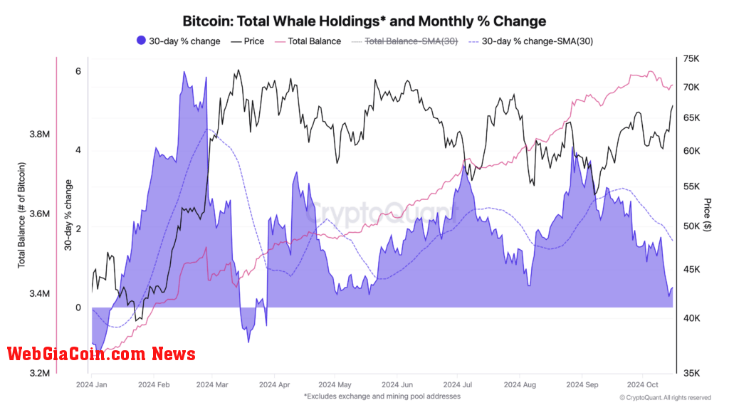 Bitcoin total whale holdings | Source: CryptoQuant