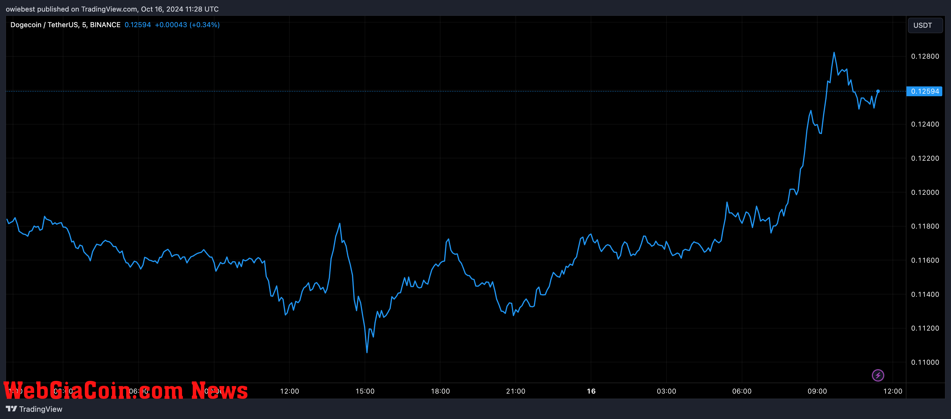 Dogecoin price chart from Tradingview.com