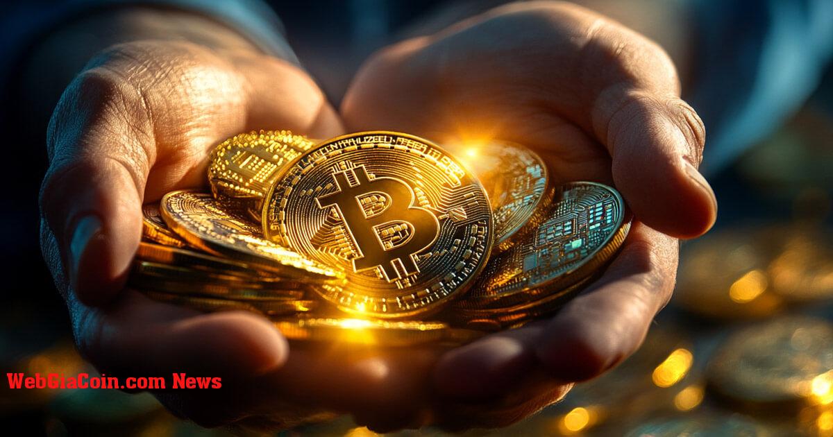 Sự tích lũy Bitcoin thúc đẩy thị trường tăng giá báo hiệu khả năng biến động giá